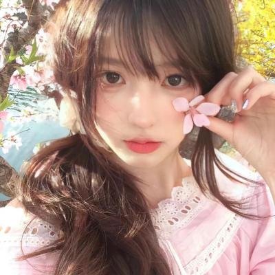 大象与小蝶物语
