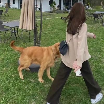 煎饼果子来一套